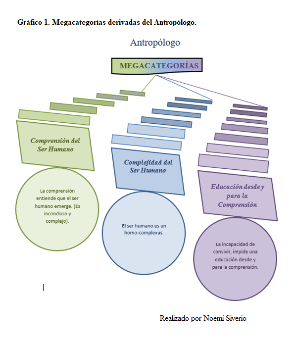 Grfico 1. Megacategoras derivadas del Antroplogo.