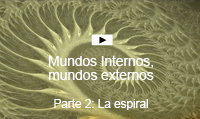 PARTE 2: LA ESPIRAL