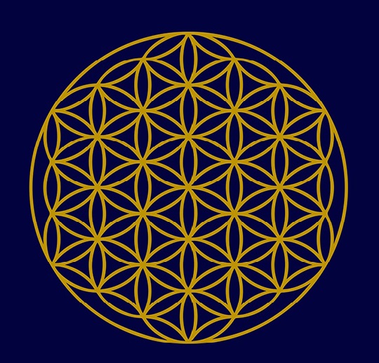 ASCENSIN ESPIRITUAL INDIVIDUAL DESDE 3D A 5D: EMPODERAMIENTO, DESPERTAR ESPIRITUAL, TRASCENDENCIA Y CONCIENCIA