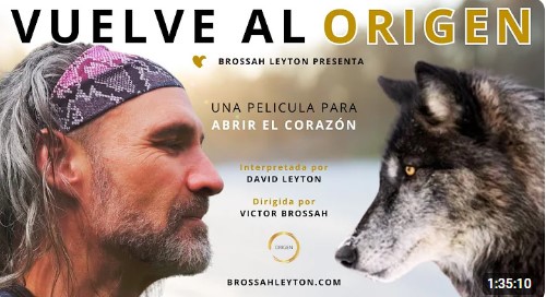 VUELVE AL ORIGEN